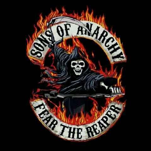 Motorcycles are the love of my life and guns are a close 2nd. Bassist  Love SOA!  Single 100% lesbian