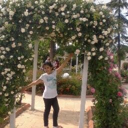 sultaelik's profile picture. 