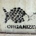 Stev Organize (@Steveorganize) Twitter profile photo