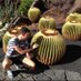David Veiga Arrojo (@davidveiga_1) Twitter profile photo