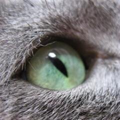 Spacer92 Profile Picture