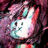 polyfusia's profile picture. Web系でエンジニアで音源収集マニア。エレクトロニカとかインディーポップとかファミコンぐらいのレトロゲームが好きです。