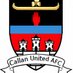 Callan United (@callanunited) Twitter profile photo