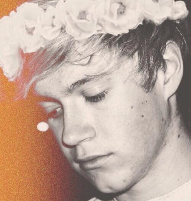 Follow @BlopNiall_ She's tryin to gain back followers bc she lost her account. She follows back. :) ILY