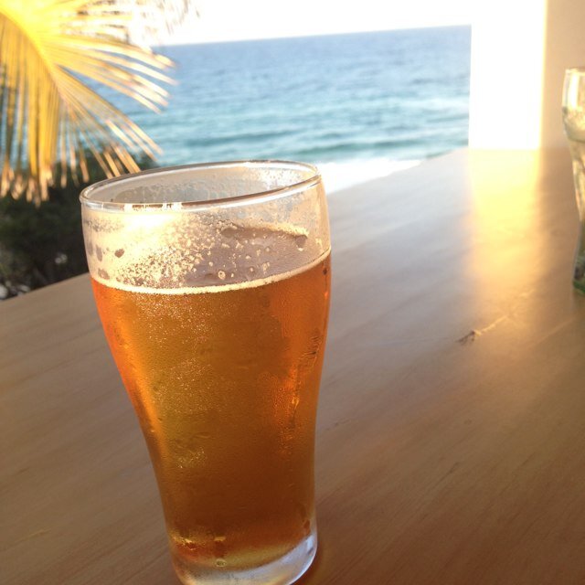 Lambywoolies's profile picture. complete housebitch