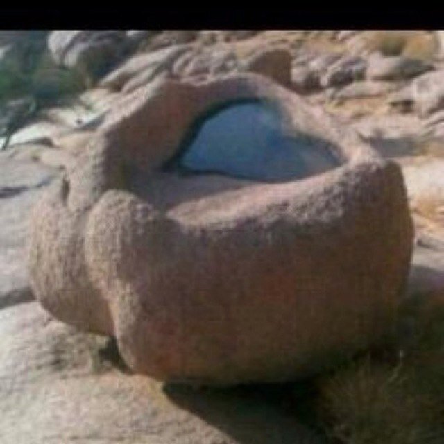 سبحان الله وبحمده سبحان الله العظيم