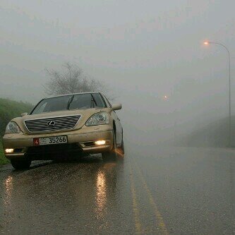 SalemAnasser's profile picture. 