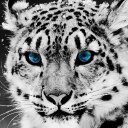Benjamin Bolt - @BenjaminBolt1 - Twitter