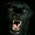 Kari Marie (@smilingpanther) Twitter profile photo Kari Marie (@smilingpanther) Twitter profile photo