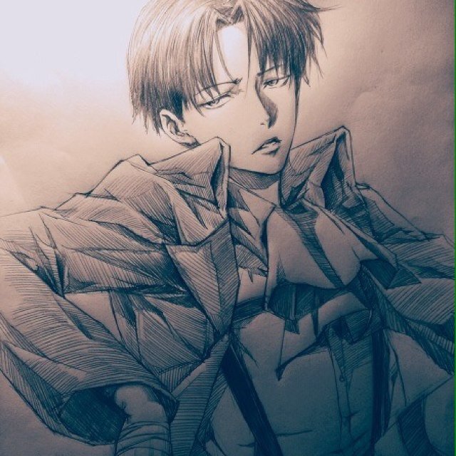 Levi Rivaille.