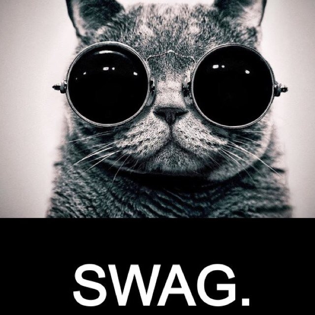 Humairapatell's profile picture. ~belieber~canadian~smile~