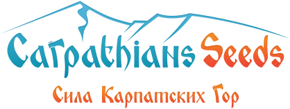 Carpathians seeds