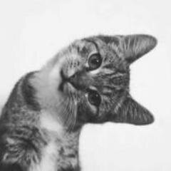 syifafatihah's profile picture. 20.