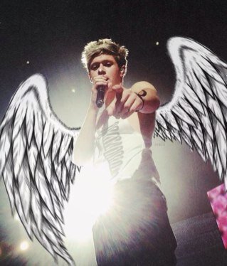 I cry over 5 boys I don't know. My favorites are Harry and Niall. I was so bored I made this account.
I go to nursing school.