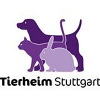 Tierheim Stuttgart (@tierheim_stgt) Twitter profile photo