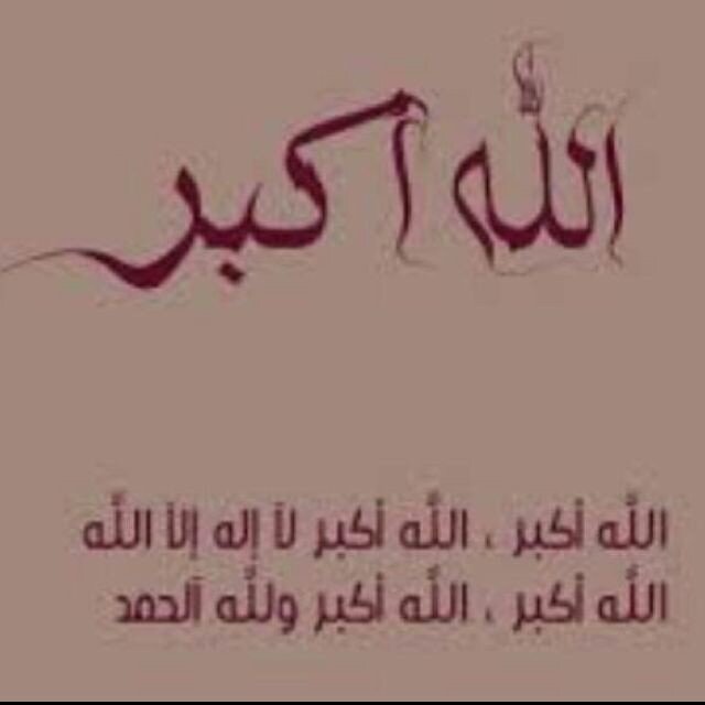 حساب للقران الكريم يوميا صورة صفحة من القران نغرد بها حتى لا نهجره * لنتعاون على التغريد و التذكير بالاجر و الخير .. *مافاتك بالمفضلة* 
سبحان الله و بحمده ..
