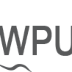 wpulti Profile Picture