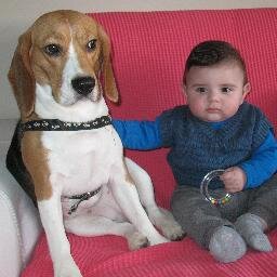 Ebruaraslola's profile picture. 