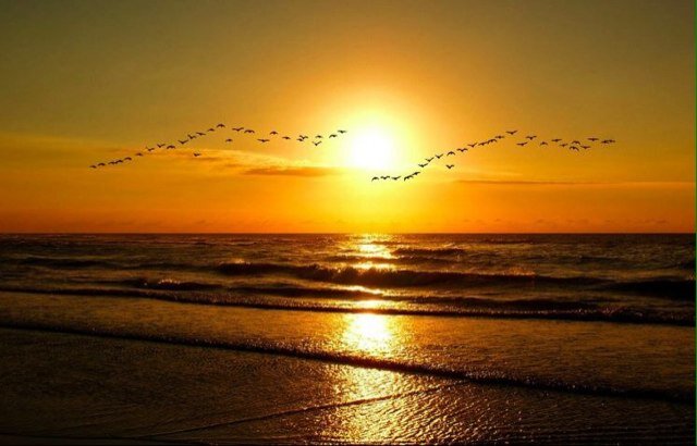 itsmailyfe's profile picture. 