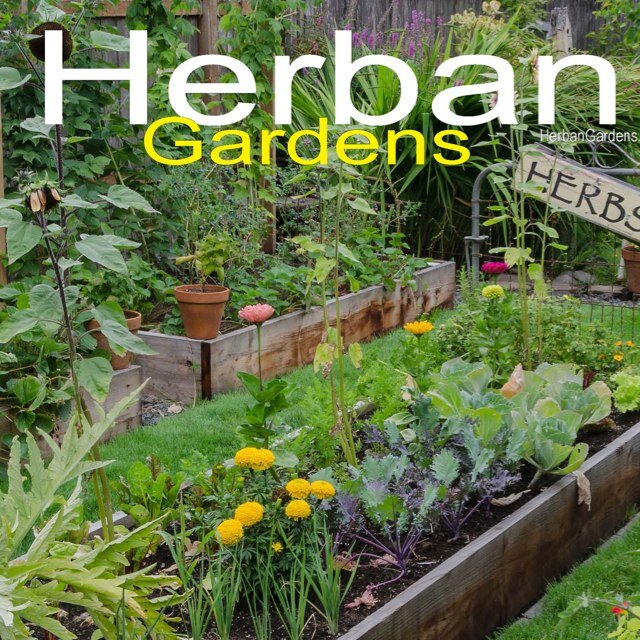 Herban Gardens Magazine is a quartely publication (March, June, September and December) Herbs, Gardening, Urban Farming, Sustainability.