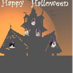 Bella Furball Profile