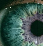 Experiencing the world from a different point of view. New & relevant information to provoke #thought and #imagination. #insight #perception #reality