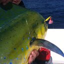 patrick lowder - @fisherman_o24 - Twitter