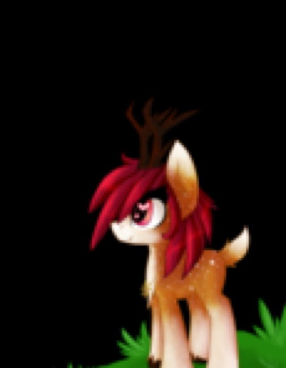 I am Fire Stone ! The fast and ferious. I cannot be beaten on feet. please follow me and try the get me on the firebolt team. (He he he )