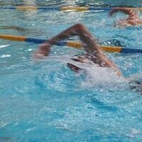 Navin Karacali (@navinkaracali) 's Twitter Profile