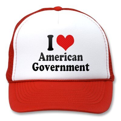 American Government 2013