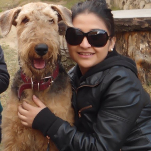 alice_pink33's profile picture. 