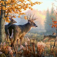Hoosierboy1967 (@captriker1) 's Twitter Profile
