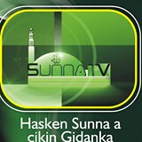 Updates on Programs on Sunnah TV (Hausa Section)