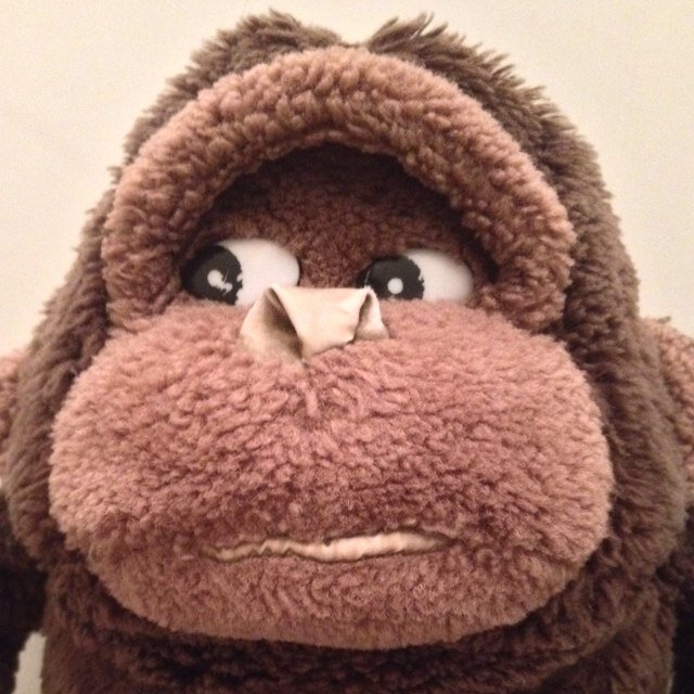 ceewood71's profile picture. 