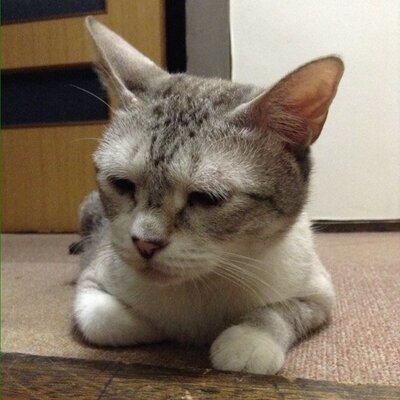 カポ