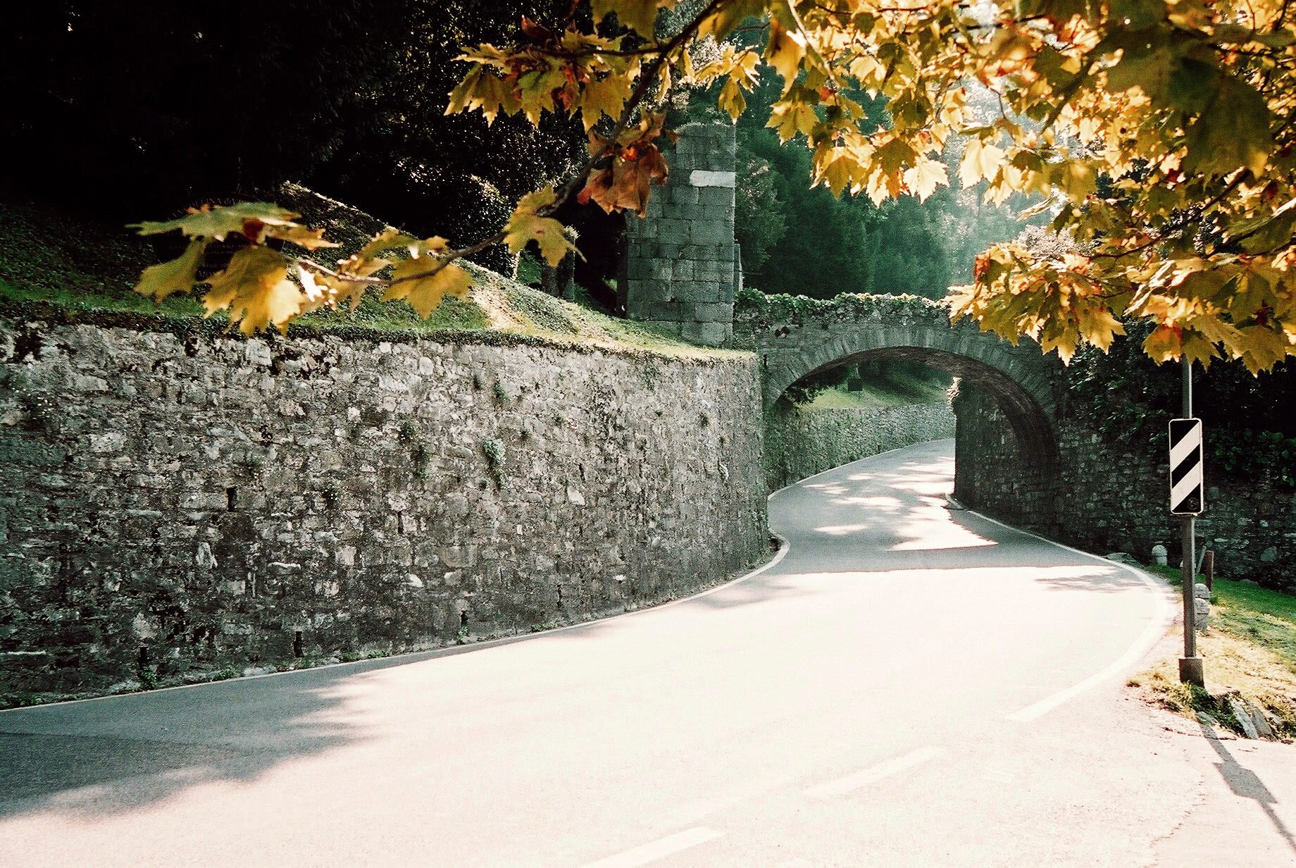 Kijktwielrennen's profile picture. 