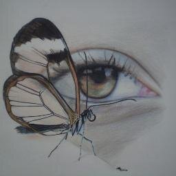 Mariposas y medusas me cautivan, gusto del ajedrez, escribí alguna vez poesía, tengo el don de recordar sueños, miro el cielo seguido en busca de vida mas all
