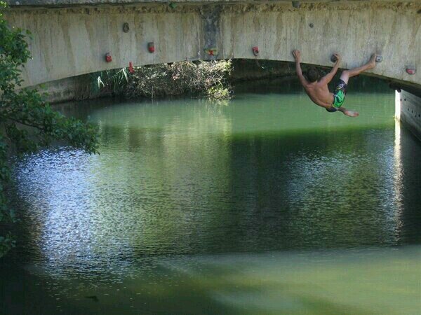 DIbarrondo's profile picture. 