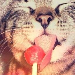 xD Estoy re feliz 14 de Septiembre te Amo!! :3