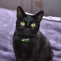 Brian Mounsher (@brizzy5000) 's Twitter Profile