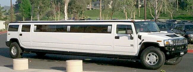 dfffff13559055's profile picture. 