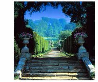 EnchantedPRp's profile picture. 