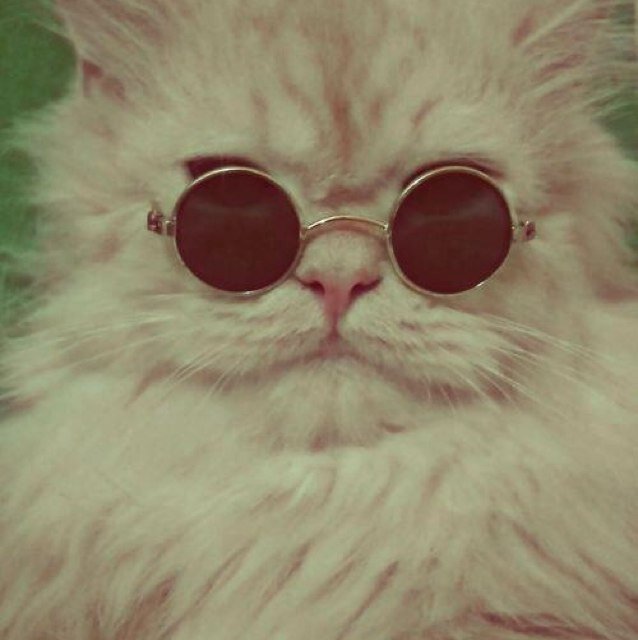 savedteenxxziam's profile picture. FOLLOW @teenxgeziam