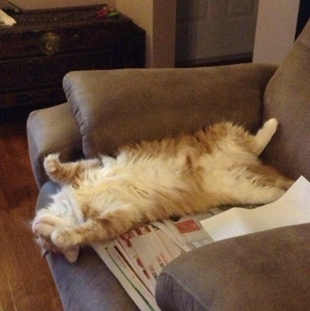 Hollieannejean's profile picture. 