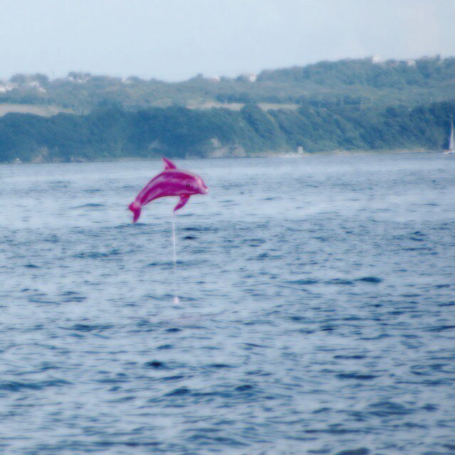 run_taicho's profile picture. 