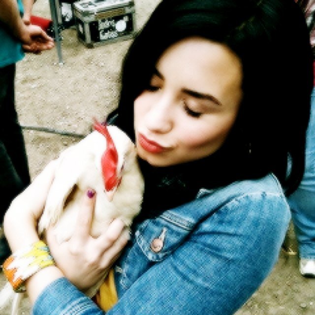 I don't let anyone's insecurities, emotions, or opinions bother me. I know that if I am happy, that's all that matters to me.~Demi #jonatic
