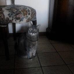 Ciao..mi chiamo Bianca sono infermiera..amo molto leggere, ascoltare la musica, e adoro viaggiare..la mia passione!