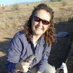 Professor, Arizona State University | Field ecologist, herpetologist interested in how human land-use affects wildlife in dryland & urban areas. #HERper