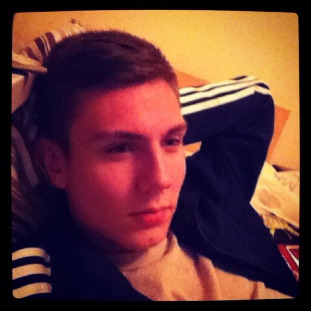 DoveJorge's profile picture. .Arktic