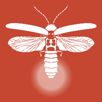 Firefly (@fireflydruginfo) 's Twitter Profile
